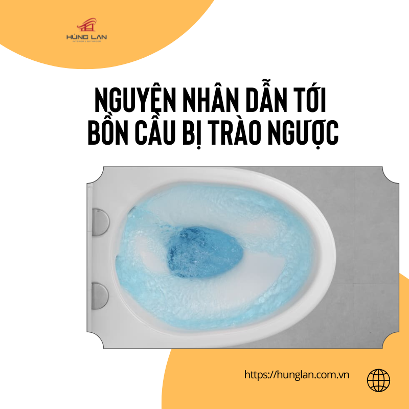 nguyên nhân bồn cầu trào ngược