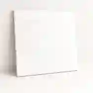 Gạch Taicera 80x80