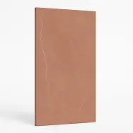 Gạch Trung Quốc 160x320