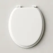 Nắp Bồn Cầu