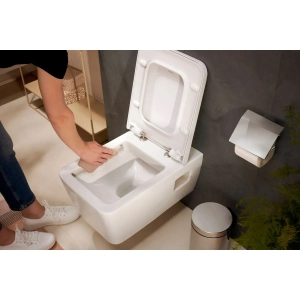 Giá treo giấy vệ sinh có nắp che HansGrohe 41753007
