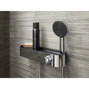 Bát sen cầm tay HansGrohe 24111000