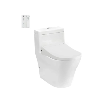 Bồn cầu một khối TOTO CW166RB/TCF34320GAA/T53P100VR