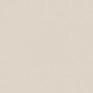 Gạch Taicera G88034 80x80